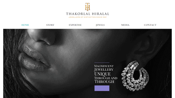 Professional Website Designs