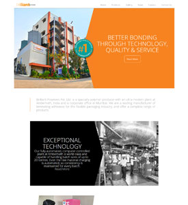 Screenshot of Website - Brilliant Polymers Pvt Ltd
